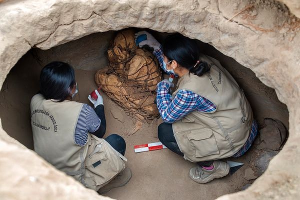 ▲▼ 秘鲁出土800年前木乃伊。 （图／Universidad Nacional Mayor de San Marcos）