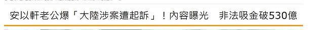 豪门梦碎？安以轩老公非法开赌，旗下公司犯案累累，涉及金额高达3亿（组图） - 1