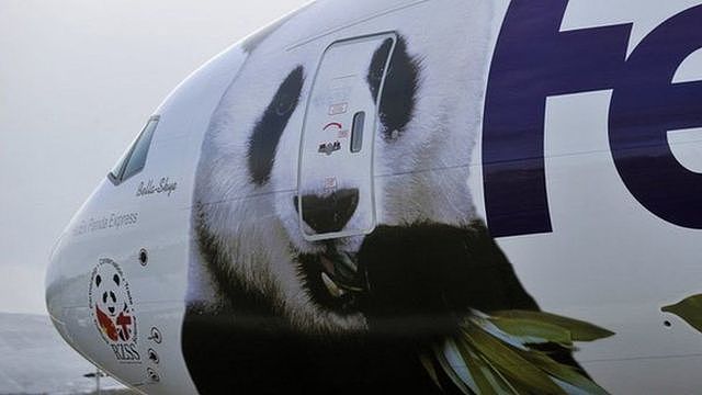 熊猫专机