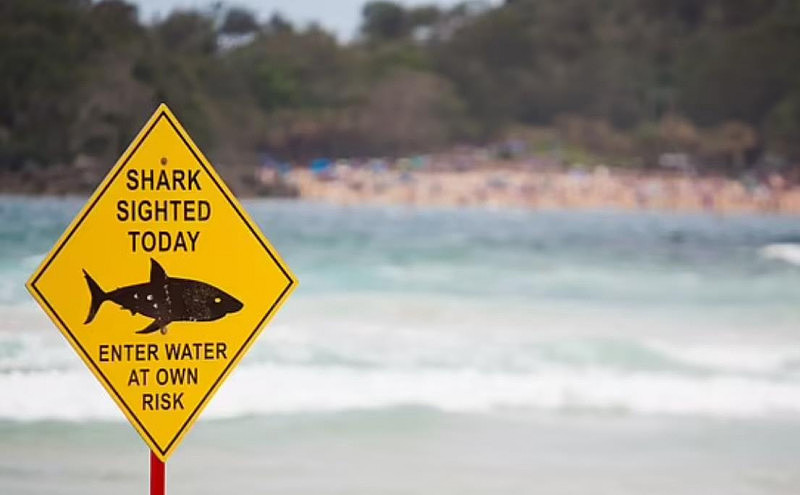 澳洲海滩发生鲨鱼袭人事件！24岁男子被紧急送医（组图） - 3