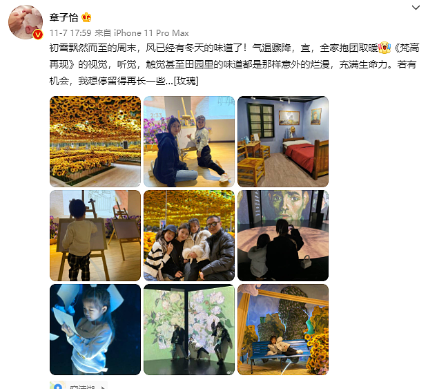 香港记者曝章子怡汪峰婚变，关联公司仅剩一家，上个月还在秀恩爱（组图） - 5