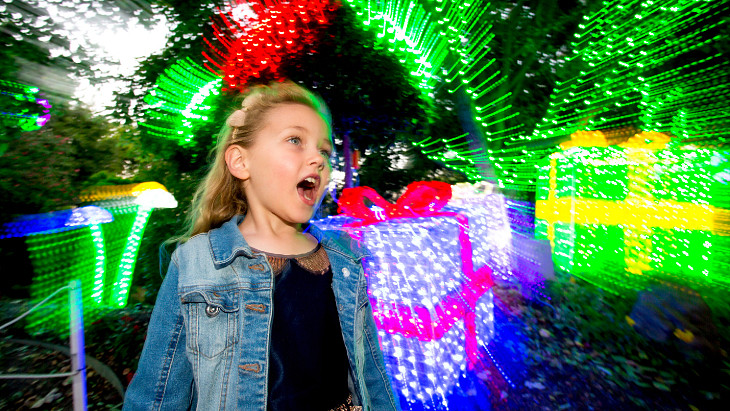 如童话般美好，悉尼街区圣诞灯饰正如火如荼！附最佳赏灯地点推荐（组图） - 35