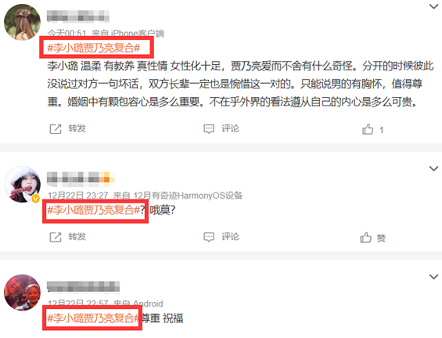 网传贾乃亮与李小璐破镜重圆、低调复合，贾乃亮工作室怒发声否认（组图） - 4