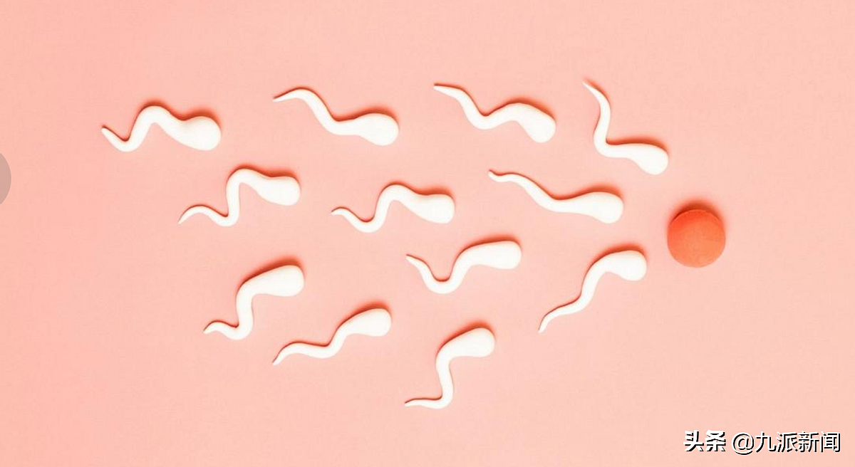 研究：新冠病毒会在数月内降低精子质量，使怀孕变得更加困难