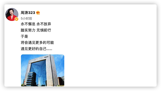 周涛担任保利文化艺术总监，离开央视5年再次调职，发文回应获赞