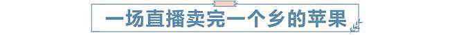 33岁那年，我放弃高薪，成为一个“农民”（组图） - 4