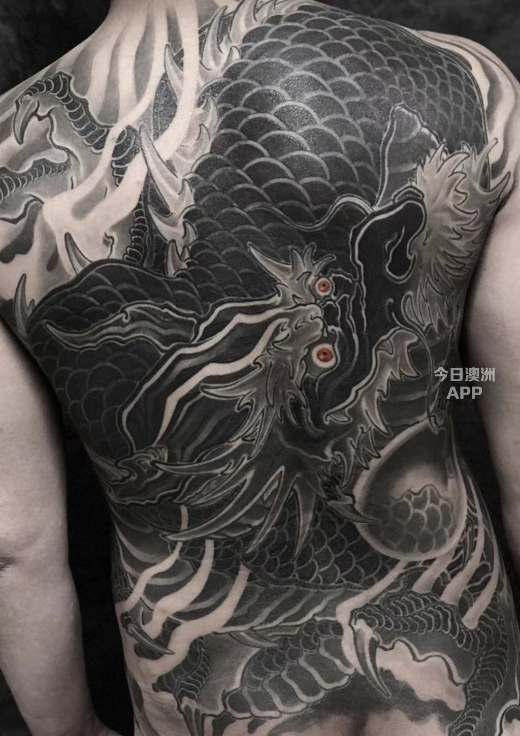  墨尔本华人纹身店 Inkache Tattoo