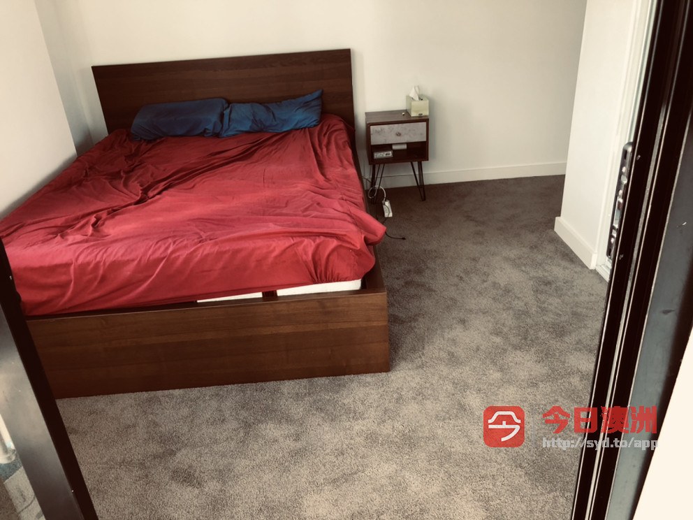 今日悉尼Wolli Creek Wolli creek master 主人房 短租一个月 Wolli Creek Wolli creek master 主人房 短租一个月