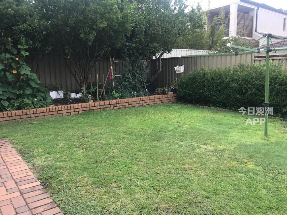 今日悉尼Maroubra 独立屋兩单间出租 每周 220 240 Maroubra 独立屋兩单间出租 每周 220 240