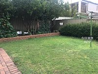 Maroubra 独立屋兩单间出租 每周 220   240