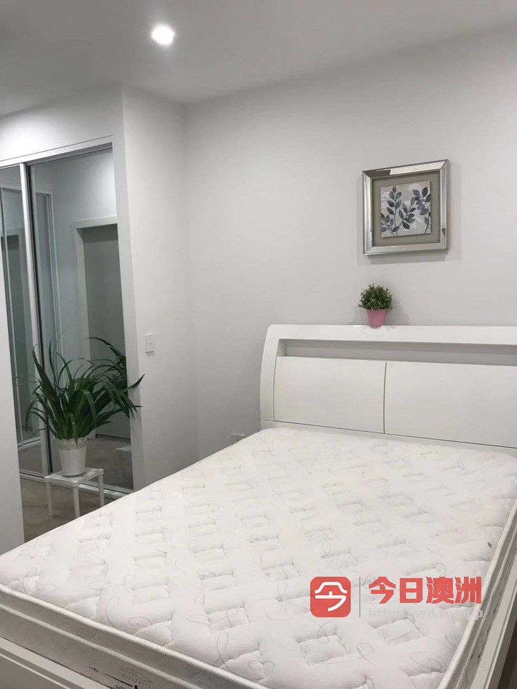 今日悉尼Penrith 主人房出租 Penrith 主人房出租