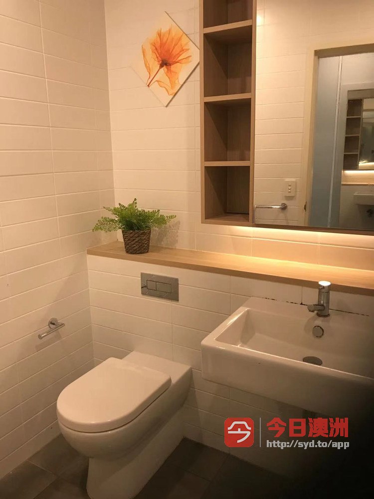 今日悉尼Penrith 主人房出租 Penrith 主人房出租