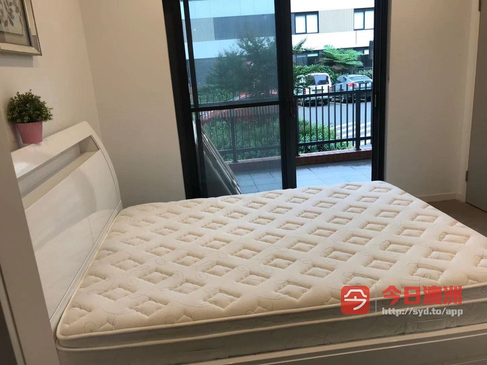 今日悉尼Penrith 主人房出租 Penrith 主人房出租