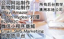  公司网站购物网站制作 对接eBay Amazon Catch Mydeal 适合各行各业最快当天搭建完成 价格最优 医疗金融会计移民旅游