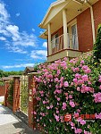 Box Hill 绝佳好位Boxhill centre附近