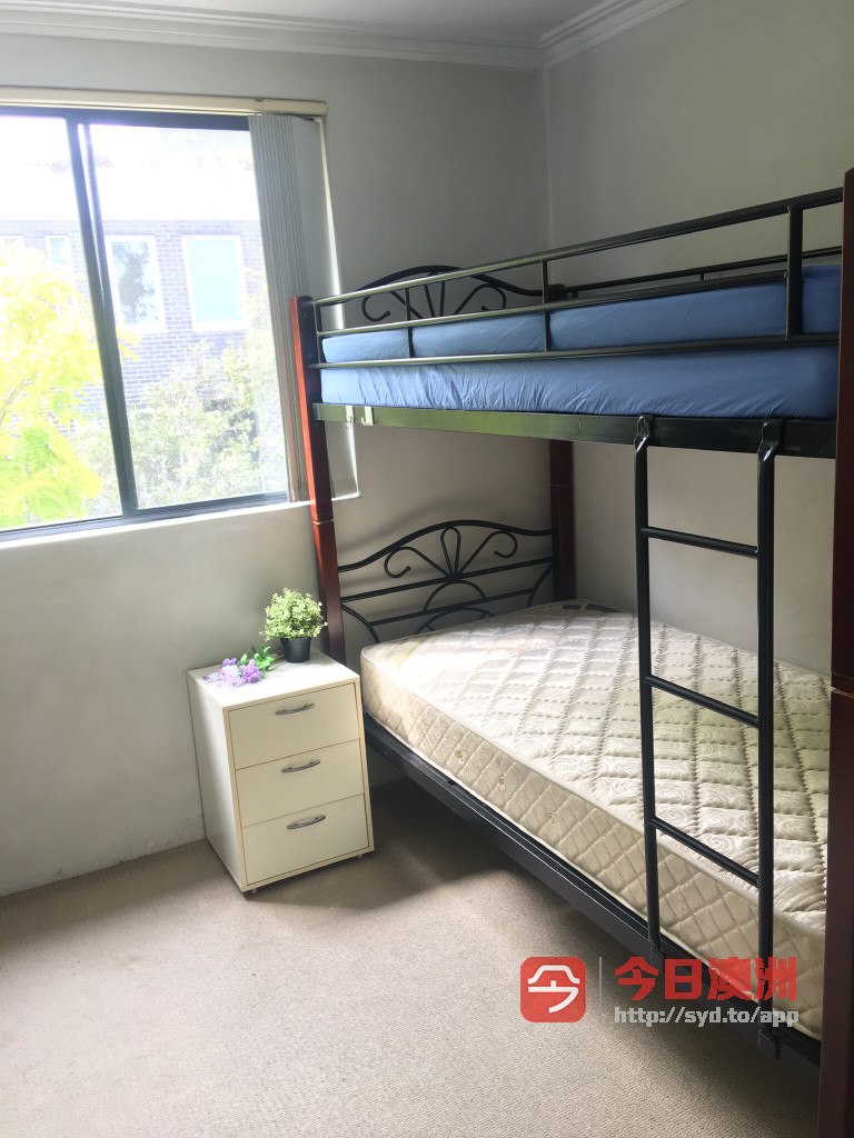 今日悉尼Chippendale 2间单卧出租 极佳位置 近悉大UTS及一切生活设施 Chippendale 2间单卧出租 极佳位置 近悉大UTS及一切生活设施