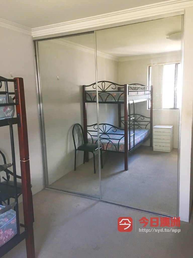 今日悉尼Chippendale 2间单卧出租 极佳位置 近悉大UTS及一切生活设施 Chippendale 2间单卧出租 极佳位置 近悉大UTS及一切生活设施