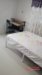 Merrylands  两间并排后院房出租
