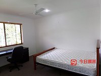 Sunnybank Hills  Pineland 超大房间出租