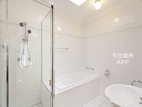 Allawah    个人 出租 unit 阳光满满 大单间 300 per week全包