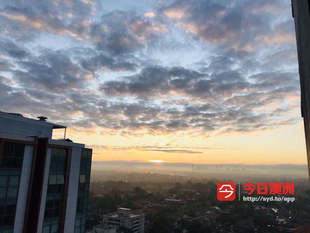今日黄金海岸Burwood GMTower 高层全景公寓一房一厅一车位包家具出租 Burwood GMTower 高层全景公寓一房一厅一车位包家具出租