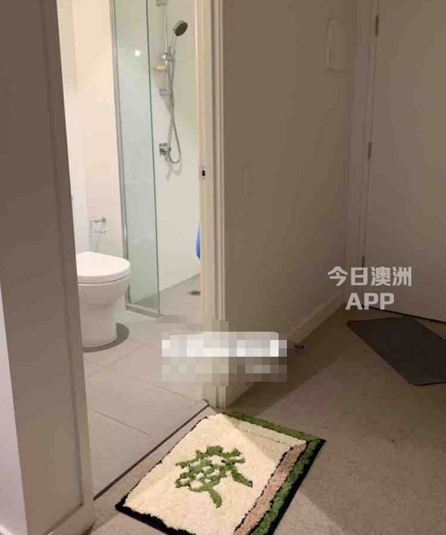 今日悉尼Melbourne City Melbourne 墨尔本 VIC 2室 1卫 0车库 大床房出租 Melbourne City Melbourne 墨尔本 VIC 2室 1卫 0车库 大床房出租