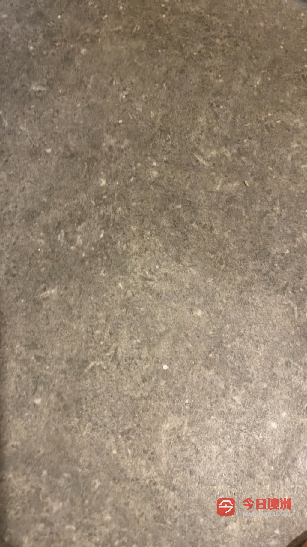 今日悉尼小工招聘1人 小工招聘1人