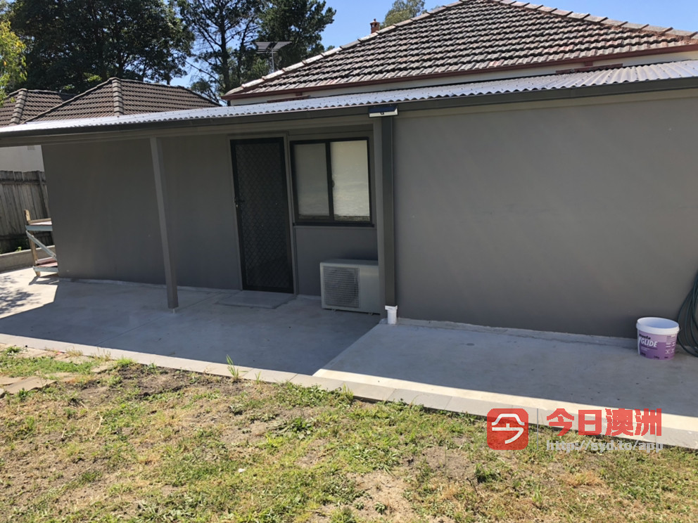 今日悉尼Lidcombe 近火车站出租后院一大一小房 Lidcombe 近火车站出租后院一大一小房