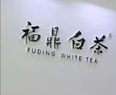 福鼎白茶