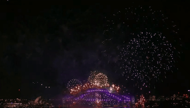 悉尼跨年烟花秀如期举行！绚烂烟花点亮夜空，规模创历史之最（视频/组图） - 3