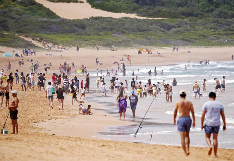 悉尼气温将攀升，海滩预计将人满为患！海水温度逼近最高水平（组图） - 3