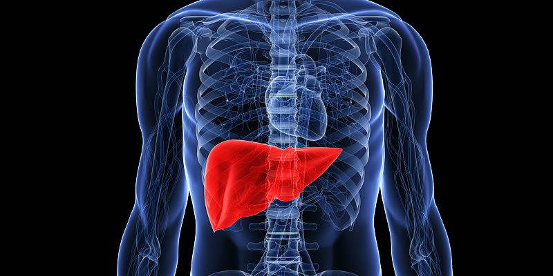 liver_featured-img.jpeg,0