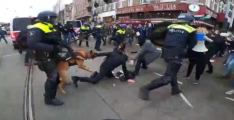 荷兰首都阿姆斯特丹出现数千名反对政府防疫政策的示威者。 警方到场后与示威者发冲突，放出警犬撕咬示威者。 图: 翻摄自环球网