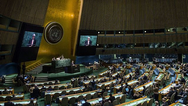《不扩散核武器条约》审议大会