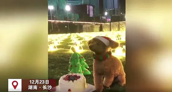 香港夫妻住8平米“豪宅”照片流出,我看到了最难以启齿的真实(组图) - 6