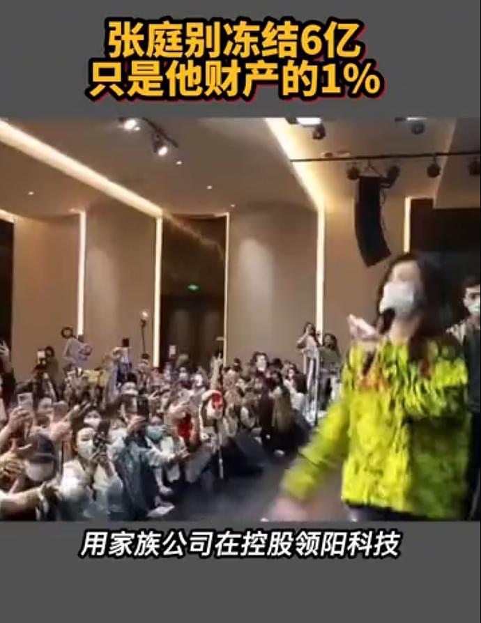 张庭夫妇早留后手？未直接控股涉传销公司，被曝已转移600亿资产（组图） - 11