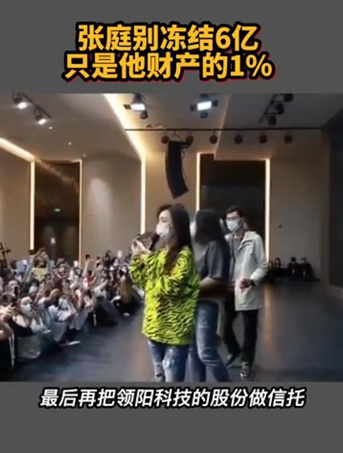 张庭夫妇早留后手？未直接控股涉传销公司，被曝已转移600亿资产（组图） - 12