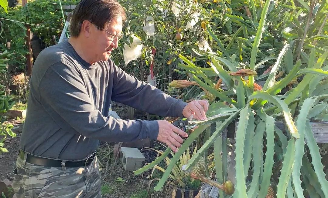 华男染新冠无症状，30天后惨遭截肢！“完全没想到还有这风险”（视频/组图） - 4