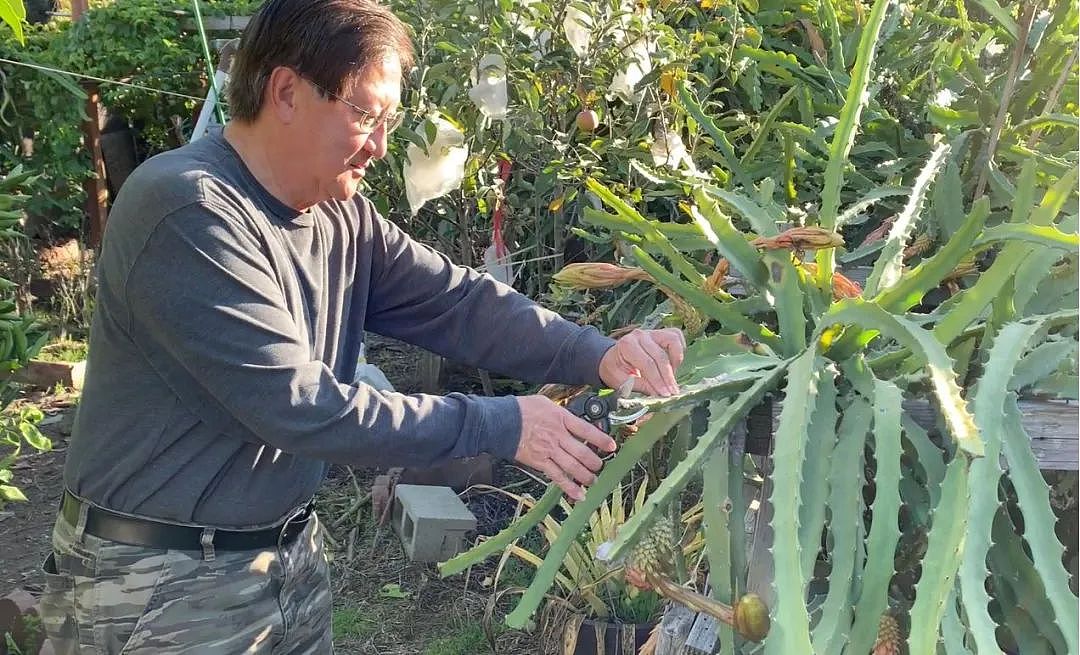 华男染新冠无症状，30天后惨遭截肢！“完全没想到还有这风险”（视频/组图） - 3