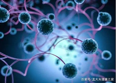 30分钟清零癌细胞！中国抗癌硼药完成中试，费用仅需10万元（组图） - 3