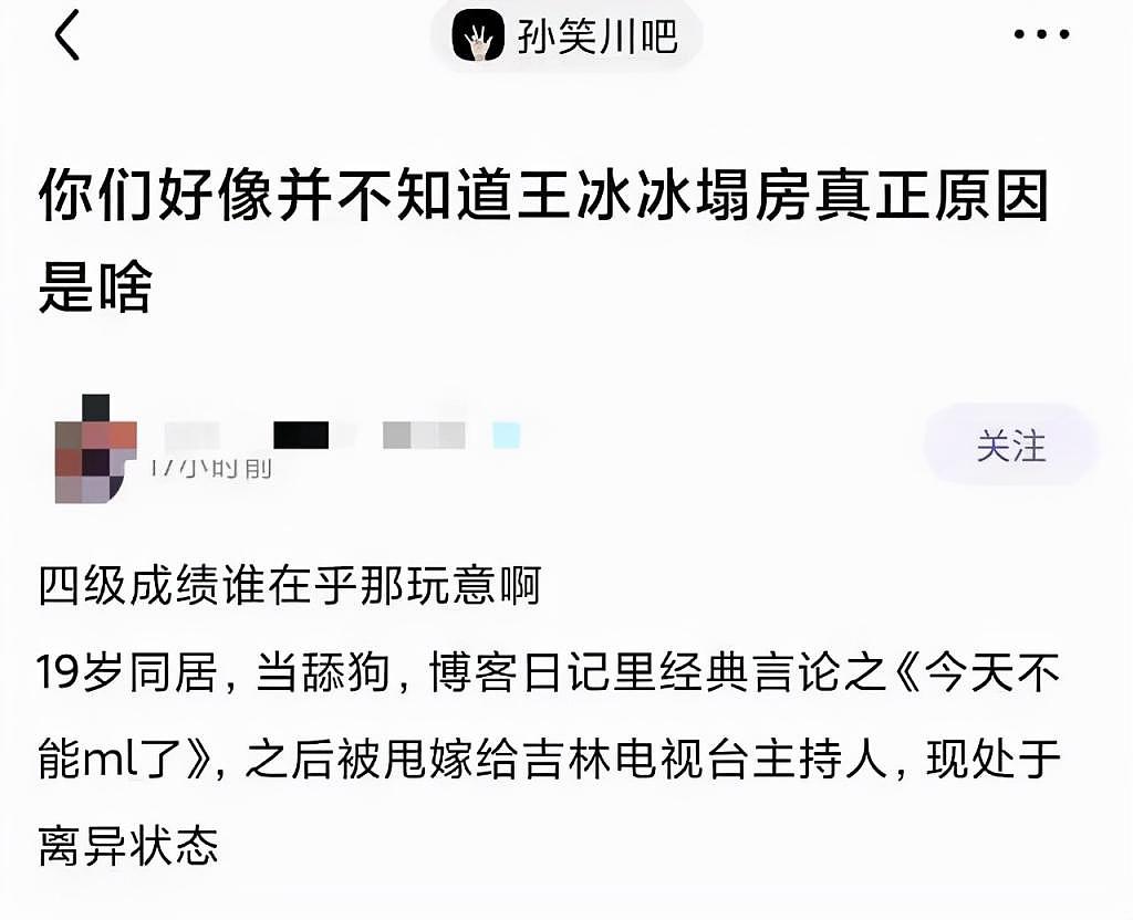 央视主持人王冰冰遭疯狂粉丝人肉！婚姻过往疑曝光，四级成绩都被扒（组图） - 4