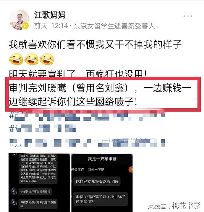 知名女作家陈岚疑似帮刘鑫站队洗白，挑衅江歌妈妈：能把收到的巨额善款公布出来吗？（组图） - 9