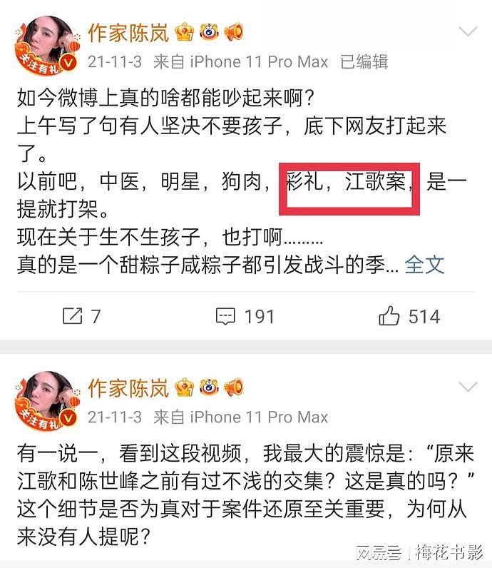 知名女作家陈岚疑似帮刘鑫站队洗白，挑衅江歌妈妈：能把收到的巨额善款公布出来吗？（组图） - 22