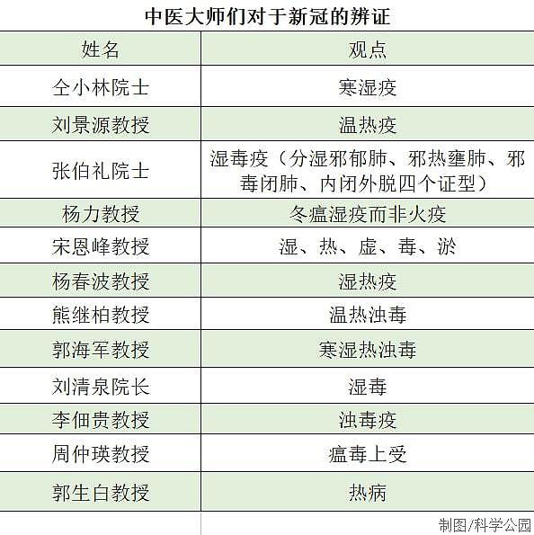 听中医大师们诊断新冠，至今没有一个统一的定论，看完后整个人都裂开了（视频/组图） - 9