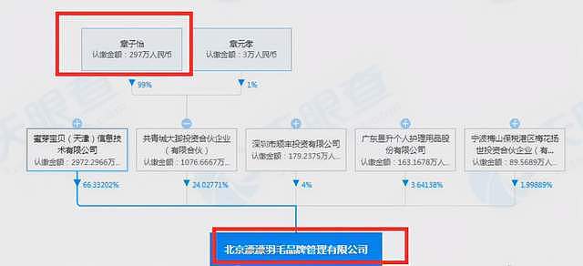 章子怡汪峰陷入财务纠纷，两人相继被强制执行，总金额近300万（组图） - 2
