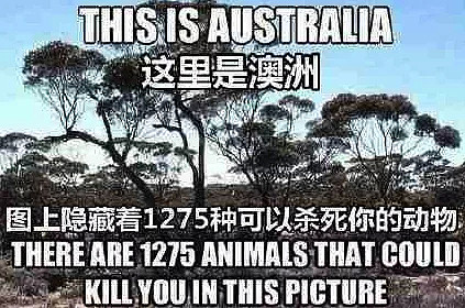 真当没人能治得了青少年了?墨尔本这两位大叔挺身而出了,看完超解气 - 1