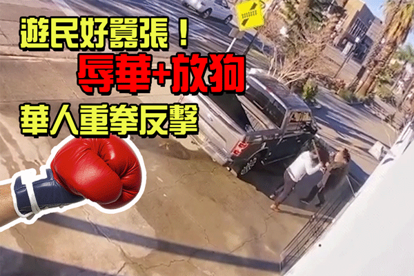 前职业拳手杨连慧，一天连遭游民两次辱骂和放狗袭击。（读者提供）