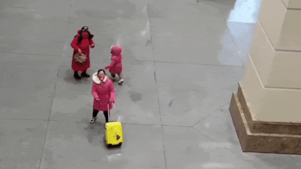 哈尔滨站台泪别：孙女来自北京，下车即遭劝返（视频/组图） - 6