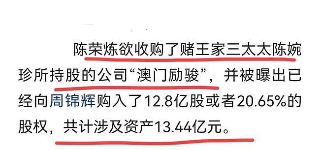 安以轩老公陈荣炼被捕，涉金额约2亿，继洗米华后澳门赌界再变天（组图） - 7