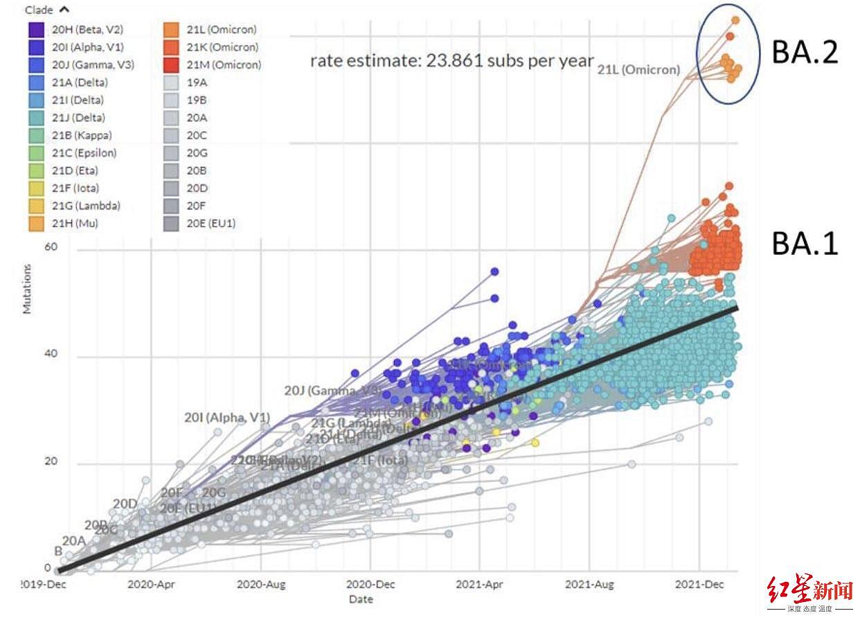 奥密克戎致死速度比德尔塔还快？不好预兆在美国出现，“奥密克戎妹妹”传播快1.5倍